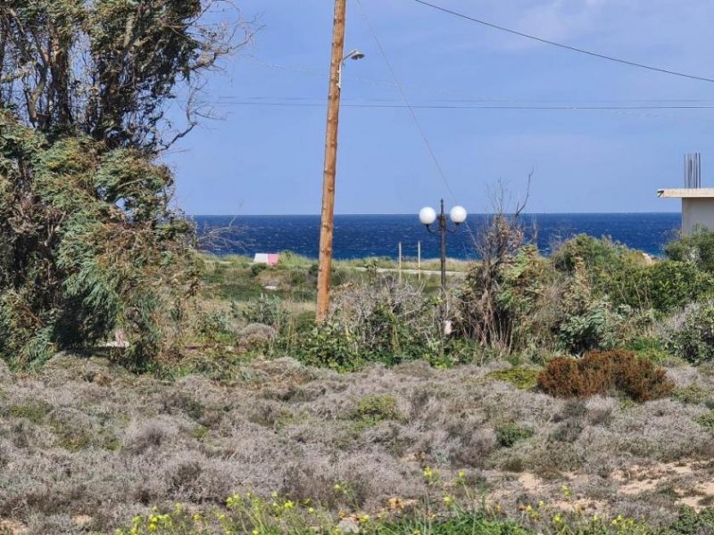 Stavros Kreta, Stavros: Riesiges Grundstück in Strandnähe zu verkaufen Grundstück kaufen